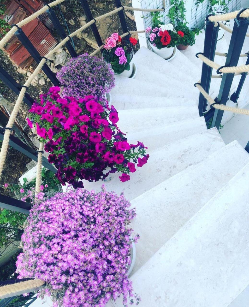 Villabijela21 Ülgün Dış mekan fotoğraf